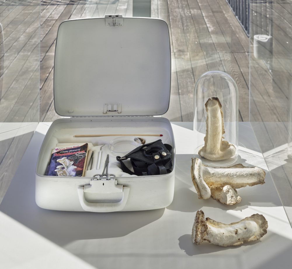 Eli Brown, "Future Species Survival Kit" from "Museum of Queer Ecologies," 2017. (Courtesy of the artist)