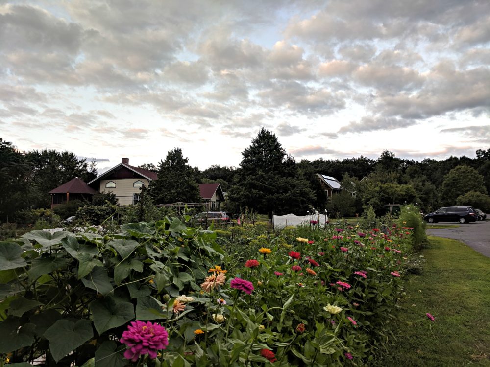 One of the gardens in the author's cohousing community. (Courtesy)