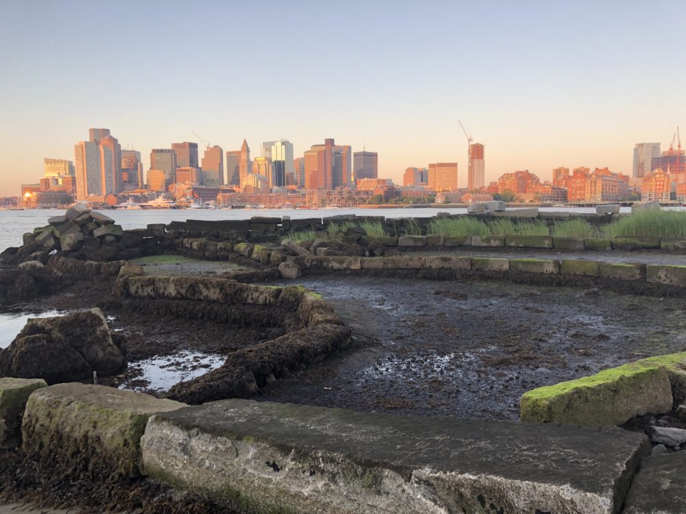 A view of the living shoreline at Clippership Wharf. (Courtesy: Inkhouse)