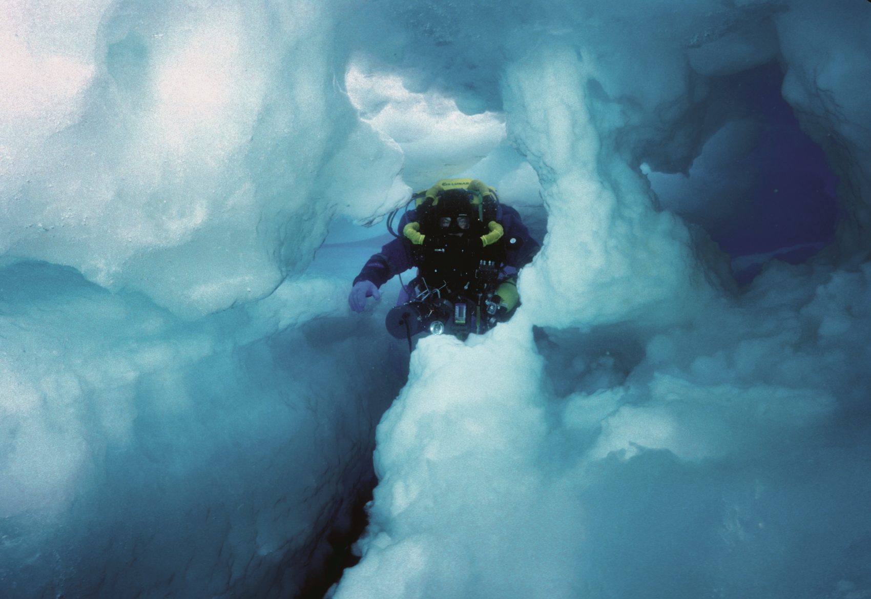 The Cave Tried To Keep Us The First Ever Dive Inside An Iceberg Only A Game - roblox game tree in cave with moving water