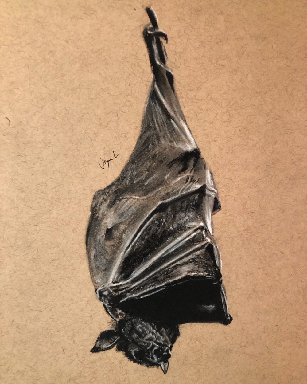 "Bat" by u/50akaFerrari