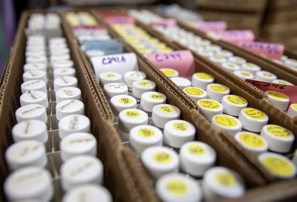 Each box of material gathered from ocean tows holds around 200 vials. (Robin Lubbock/WBUR)