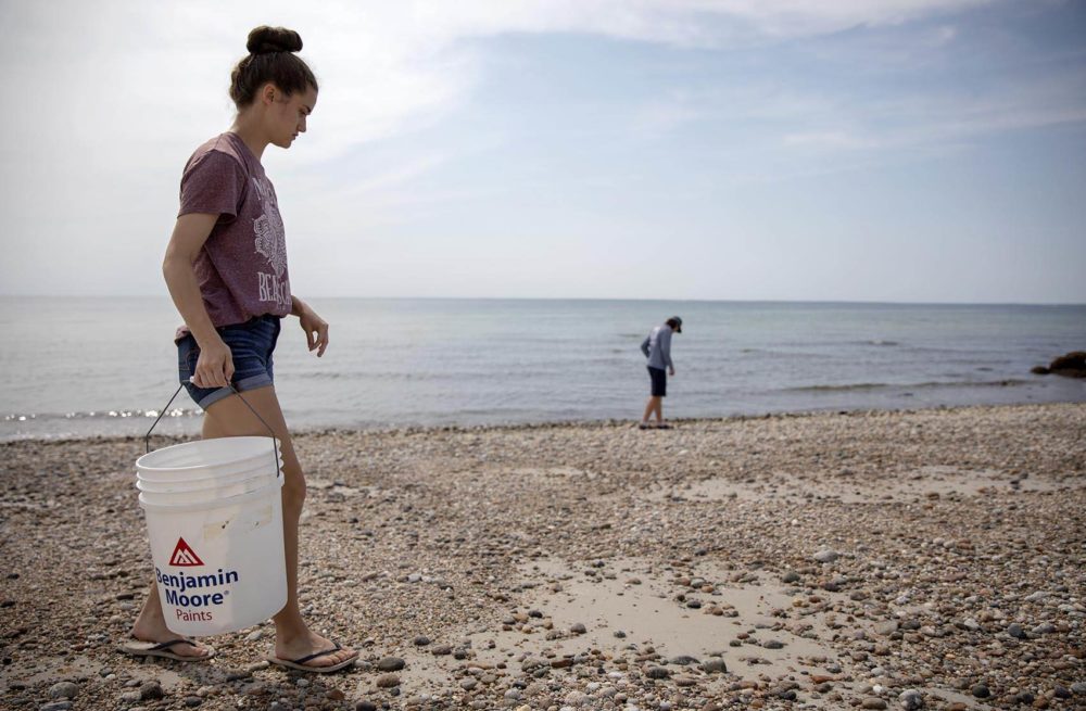 High school students Marlinee Pilkey and Erik Geertsma search a beach in Buzzards Bay for trash washed up by the ocean. (Robin Lubbock/WBUR)