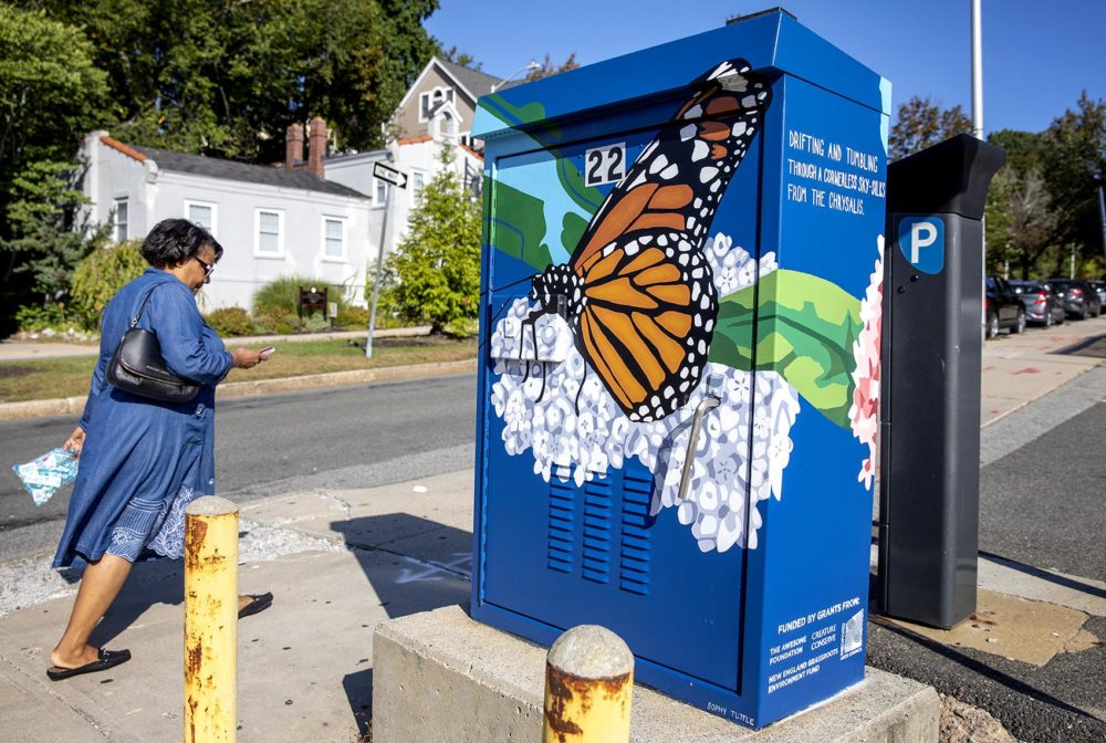 Sophy Tuttle's "Monarch Butterfly & Milkweed" on Governors Avenue in Medford. (Robin Lubbock/WBUR)