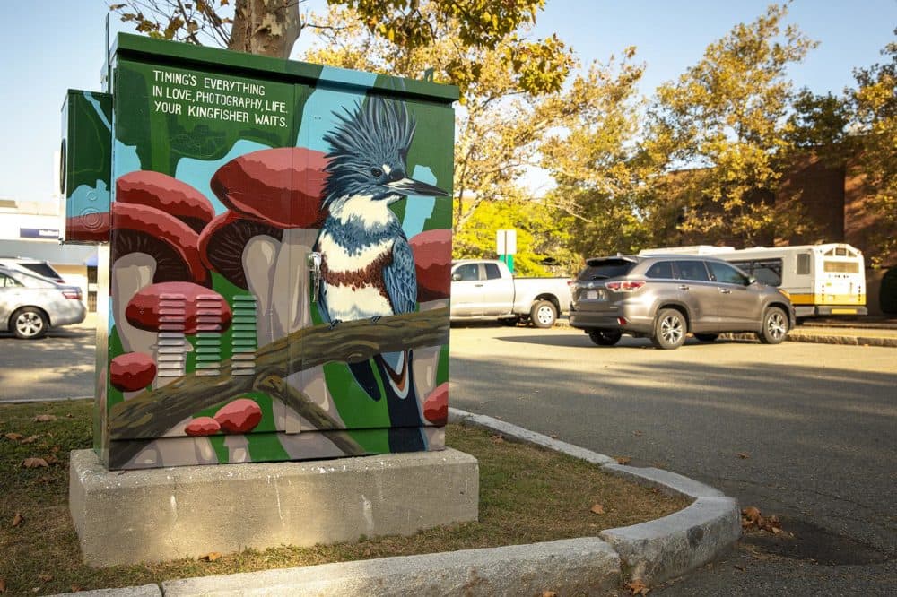 Sophy Tuttle's "Belted Kingfisher and Wine Cap Mushroom" on Clippership Drive in Medford. (Robin Lubbock/WBUR)