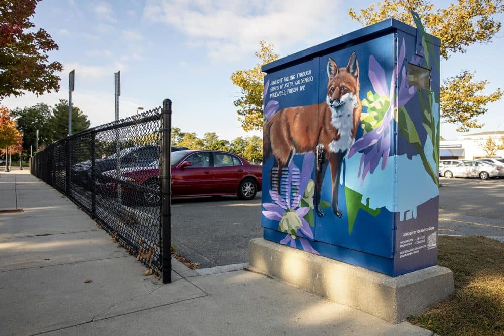 Sophy Tuttle's "Red Fox & Blue Wood Aster." (Robin Lubbock/WBUR)