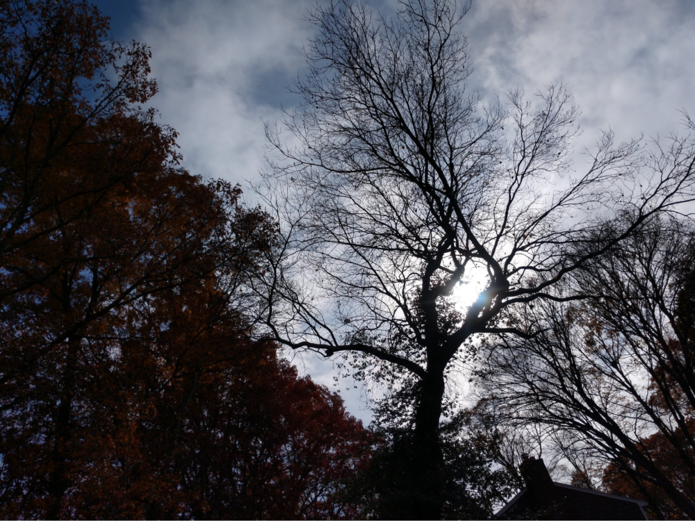 The sun only reaches about 34 degrees above the horizon in late October. (Dave Epstein/WBUR)