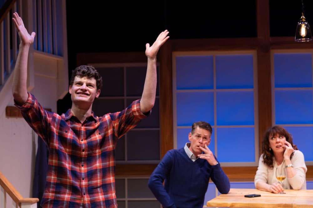 Nathan Malin, Michael Kaye and Maureen Keiller in SpeakEasy Stage's Production of "Admissions." (Courtesy Maggie Hall Photography)