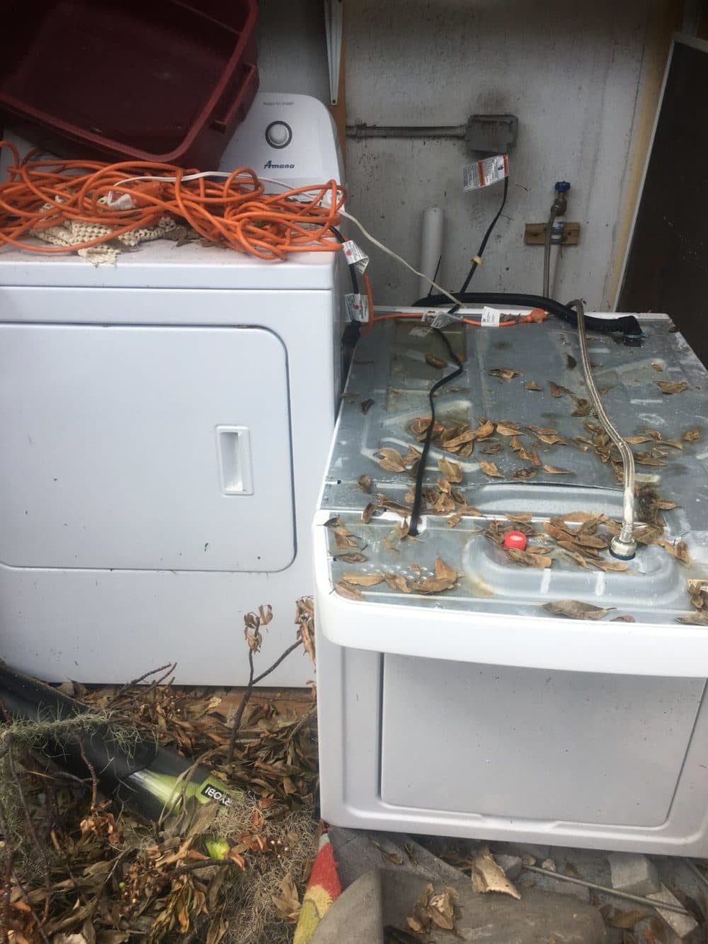 Her new washer and dryer were destroyed after Irma. (Courtesy of Rittel)
