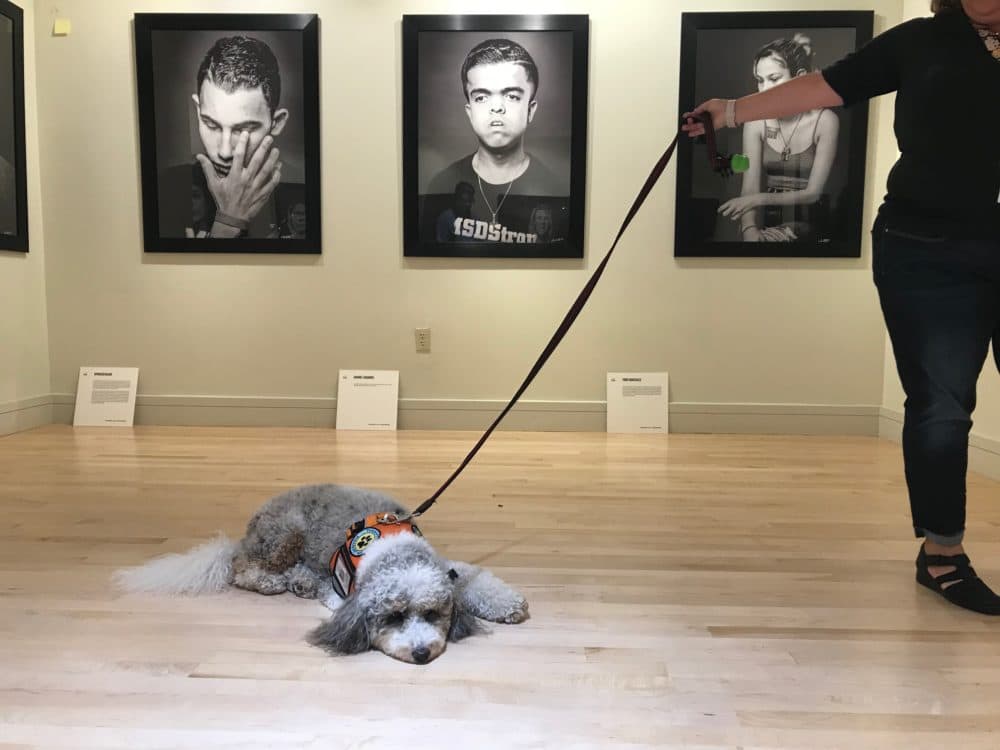 From the exhibit. (Photo by Caitie Switalski)