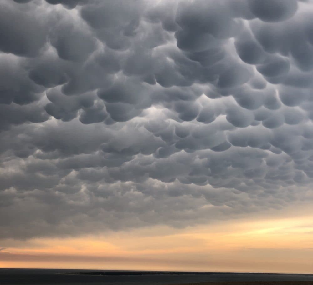 瑪塔雲（Mamma cloud）被發現在法國卡弗雷角（Cap Ferret）上，由卡塔琳·範庫拉（Katalin Vancsura）發現，並發表在雲鑑賞協會的《一天的雲》中。 （卡塔琳·範庫拉）