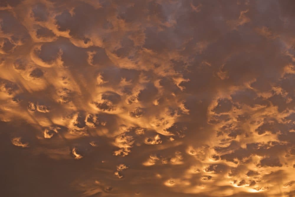 史蒂芬·英格拉姆（Stephen Ingram）在加利福尼亞的歐文斯山谷發現了高積雲，並發表在雲鑑賞協會的《一天的雲》中。 （斯蒂芬·英格拉姆）