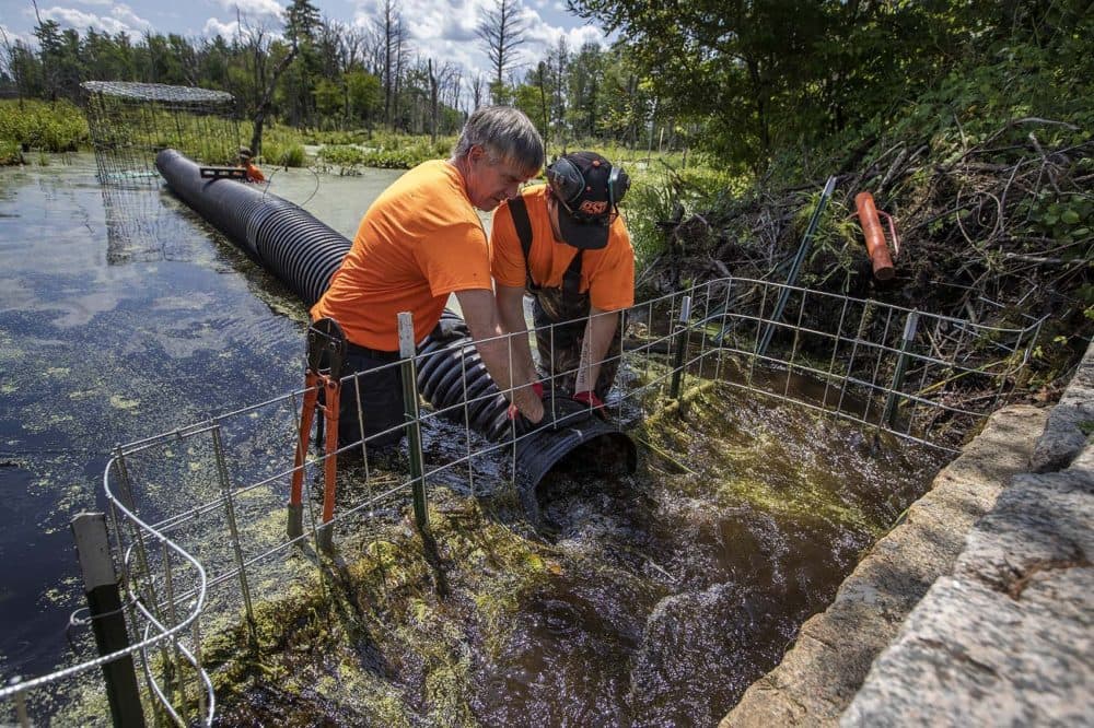 Mike Callahan and John Egan place the pipe into position during the installation of the flow device on Causeway Street. (Jesse Costa/WBUR)