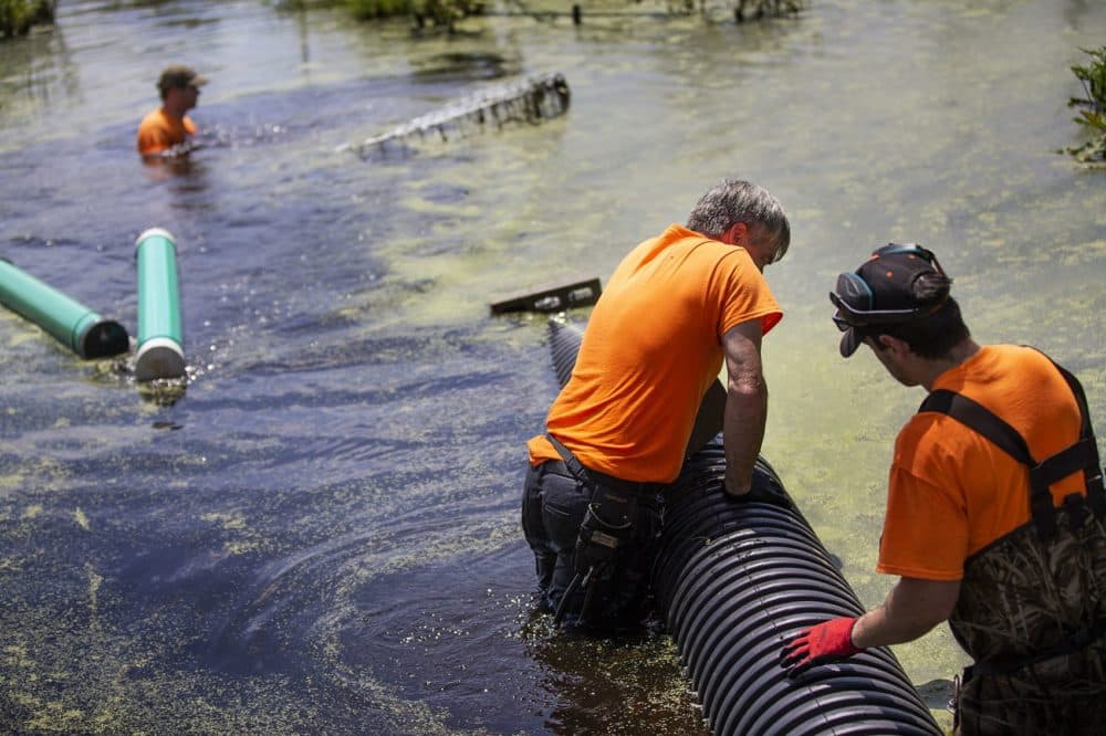 Mike Callahan and Edward Beattie submerge the pipe as John Egan sinks the cage to the bottom of the pond during the installation. (Jesse Costa/WBUR)
