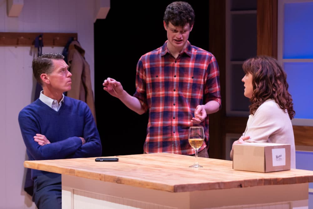Michael Kaye, Nathan Malin and Maureen Keiller in SpeakEasy Stage's Production of "Admissions." (Courtesy Maggie Hall Photography)