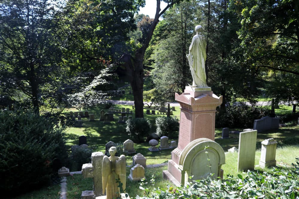 The grounds at Mount Auburn Cemetery. (Olivia Deng for WBUR)