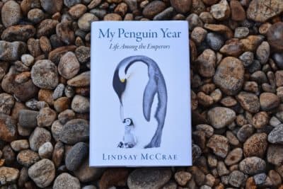 "My Penguin Year: Life Among the Emperors" by Lindsay McCrae. (Allison Hagan/Here & Now)