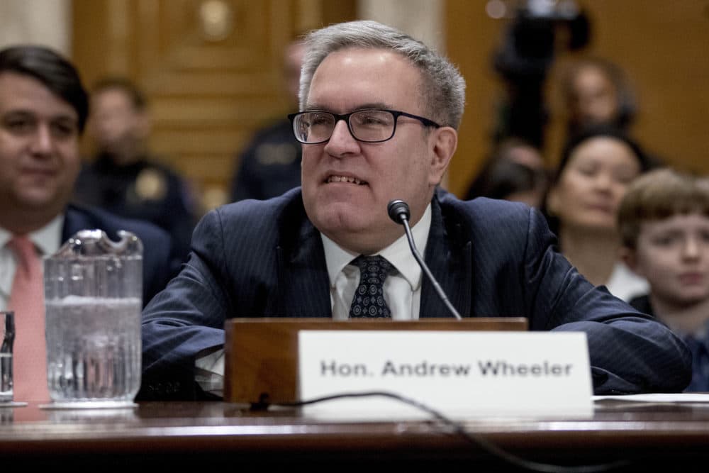 Environmental Protection Administrator Andrew Wheeler (Andrew Harnik/AP)