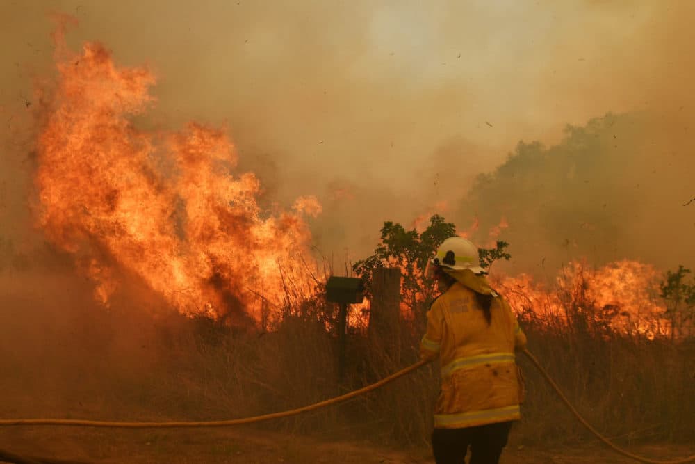 RFS Firefighters battle a spot fire on November 13, 2019 in Hillville, Australia. (Sam Mooy/Getty Images)