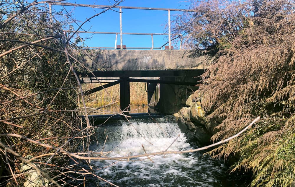 Ellis Brett Pond in Brockton is just one of the dams found to be potentially hazardous for residents in Massachusetts. The spillway of the earthen dam, which allows the release of rising waters, has been found to be inadequate for a possible historic storm. (Michael Casey/AP)