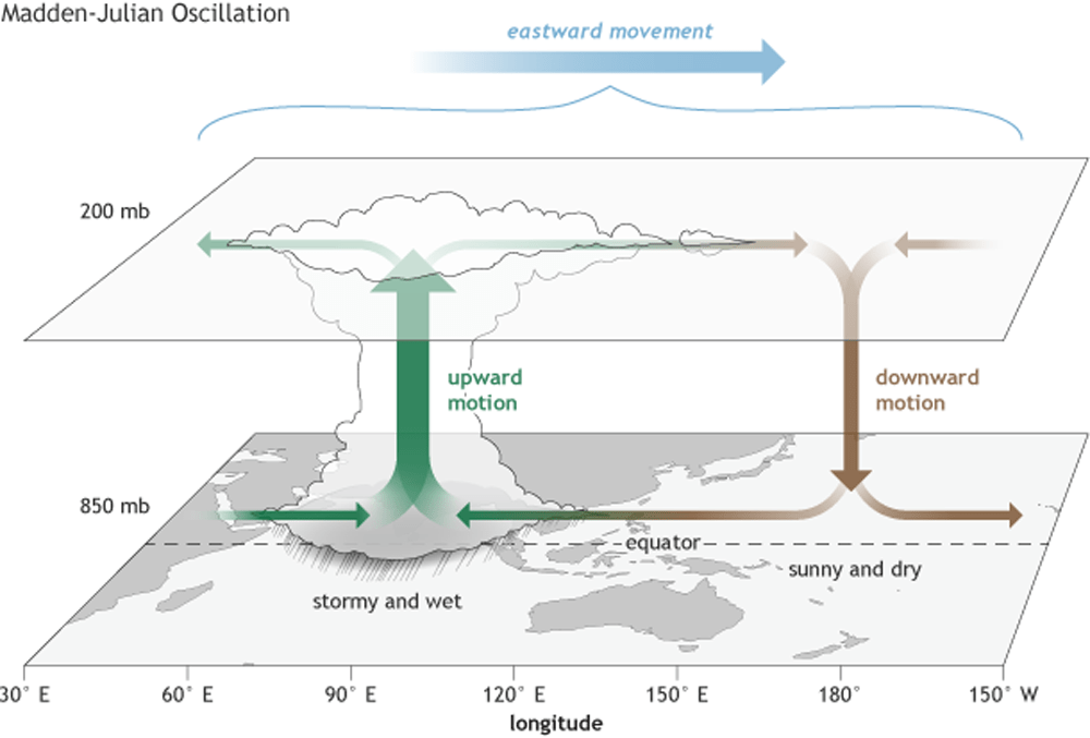 (Climate.gov drawing by Fiona Martin)