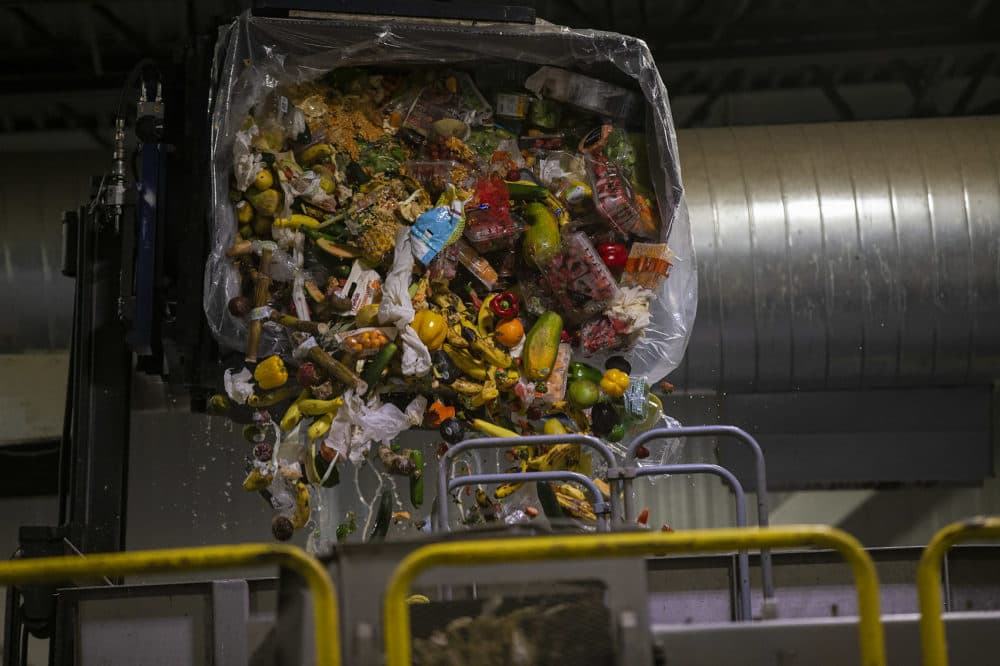 (Jesse Costa/WBUR)