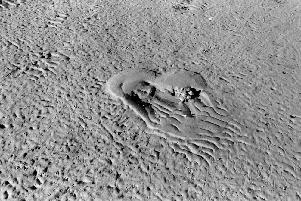Becca Albee, "Untitled," 2019, silver gelatin print. (Courtesy the artist)