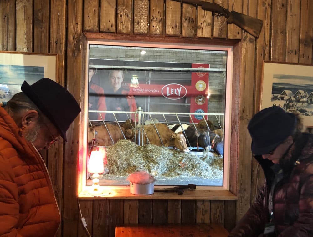 Efstidalur Farm now offers farm-to-table dining in Iceland. (Robin Young/Here & Now)