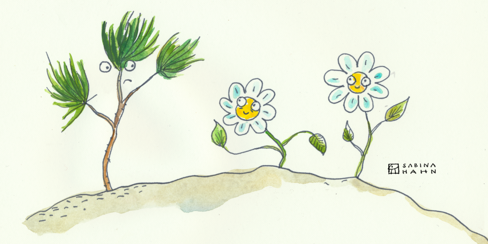 The Gloomy Pine Tree Circle Round 81 Circle Round