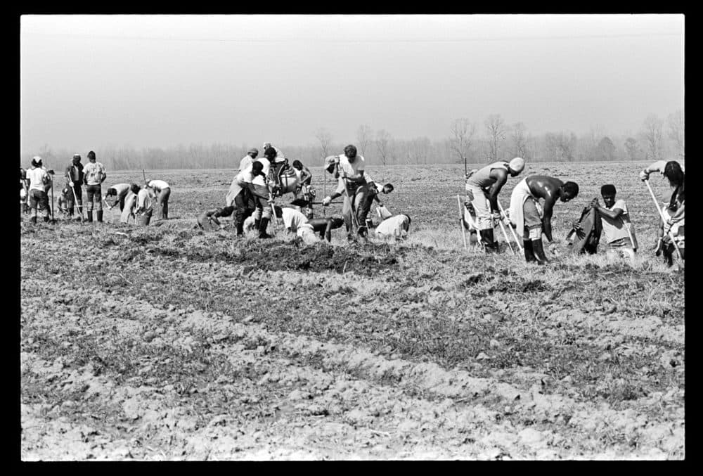 Keith Calhoun & Chandra McCormick, "Ditch Digging," 1980. (Courtesy the artists)