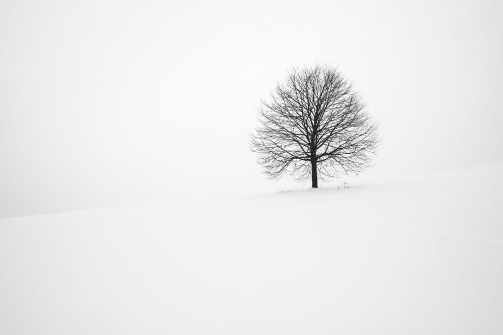 (Fabrice Villard/Unsplash)