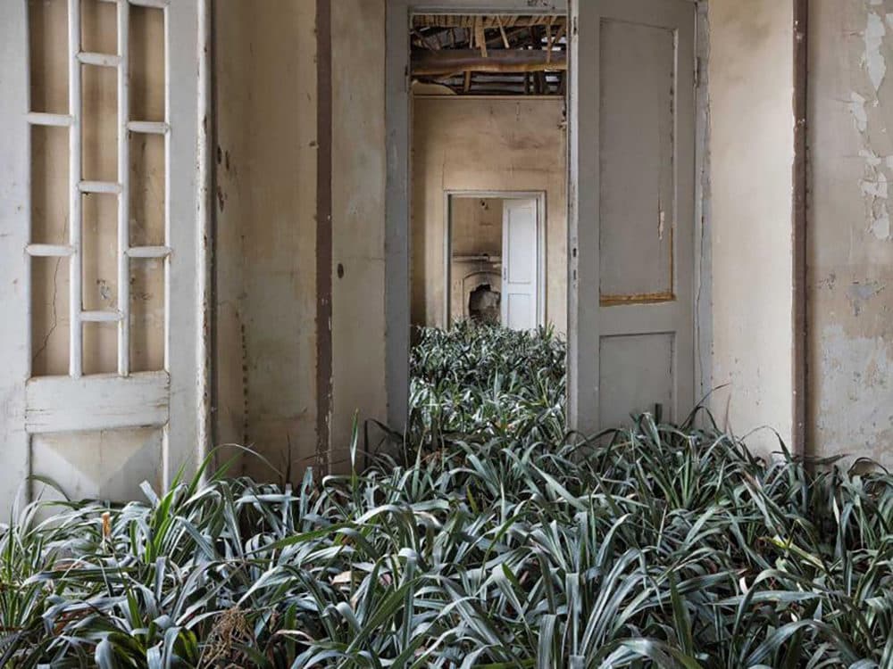 Gohar Dashti's "Untitled" from the "Home" series, 2017. (Courtesy Gohar Dashti)