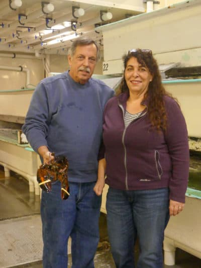 Stephanie Nadeau and Mike Marceau of The Lobster Company say their business has been hit by the retaliatory tariffs that China placed on U.S. lobsters. (Karyn Miller-Medzon/Here & Now)