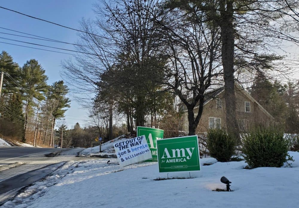 Jeremy Coylewright's handmade sign, amid signs for Amy Klobuchar. (Daniela Allee/NHPR)