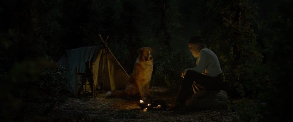 Harrison Ford as John Thornton with Buck in "Call of the Wild." (Courtesy Twentieth Century Fox)
