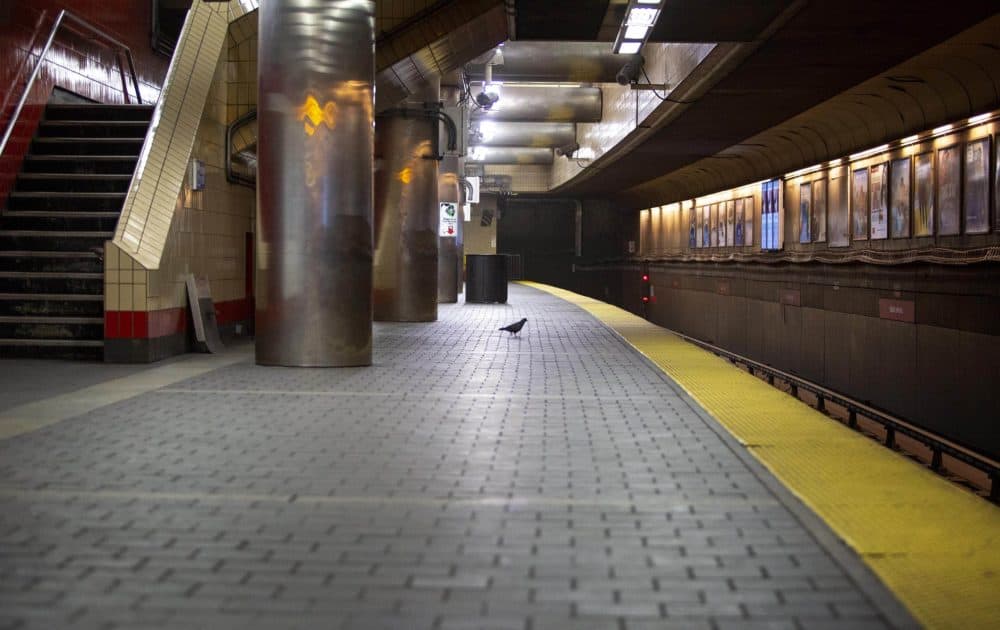 A pigeon explores an empty platform at Harvard MBTA Red Line station. (Robin Lubbock/WBUR)