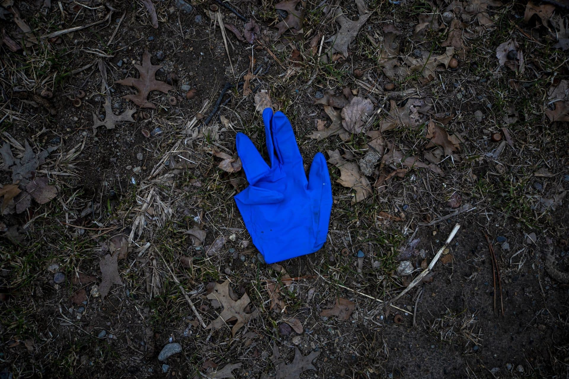 A discarded nitrile glove on the ground on the Fellsway in Medford. (Jesse Costas/WBUR)
