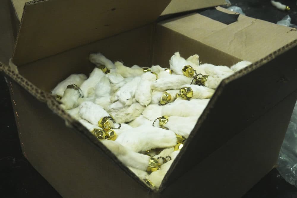 A box of rabbit feet, which will be used in Georden West's installation "Queer Body in Ecstasy" at the Dorchester Art Project. (Courtesy Emma Leavitt)