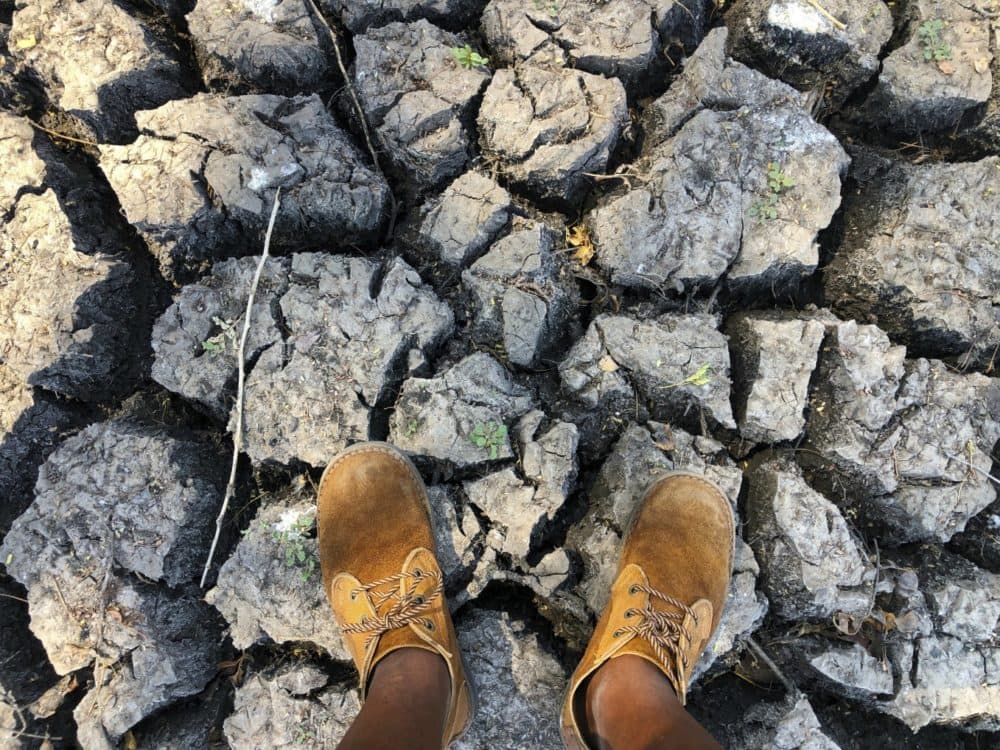 A man stands on a sun baked pool that used to be a perennial water supply in Mana Pools National Park, Zimbabwe in this Oct,27, 2019 photo. (Tsvangirayi Mukwazhi/AP)