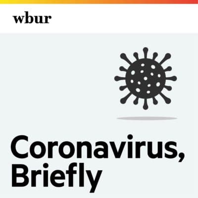 Coronavirus, Briefly