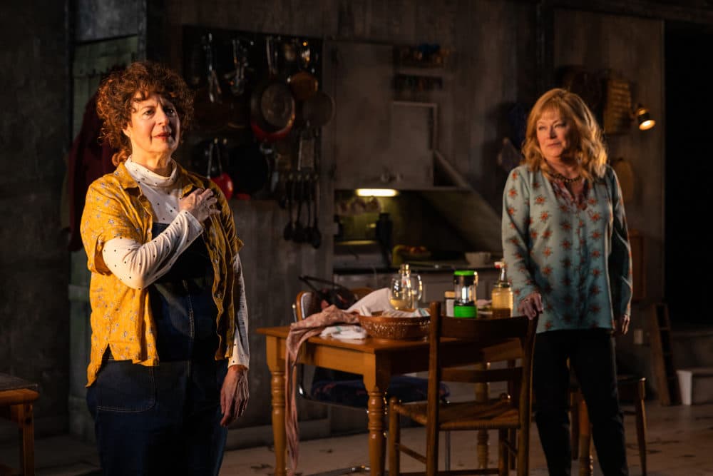 Paula Plum and Karen MacDonald in "The Children" at SpeakEasy Stage Company. (Courtesy Maggie Hall Photography)