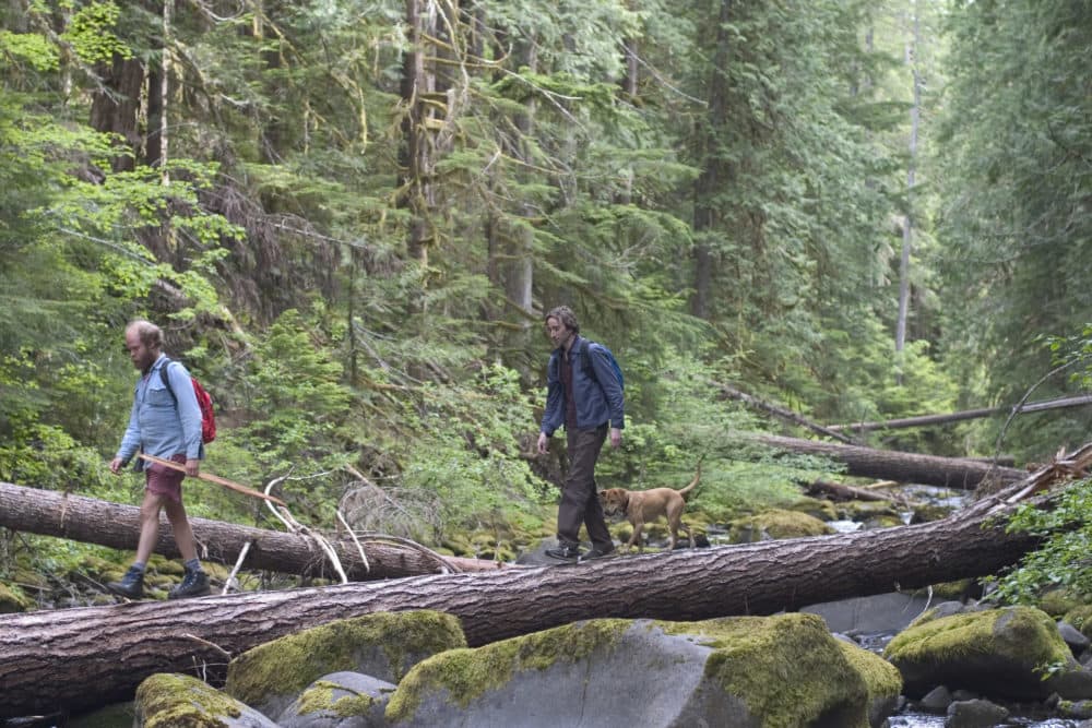 A still from Kelly Reichardt's film "Old Joy." (Courtesy Harvard Film Archive)