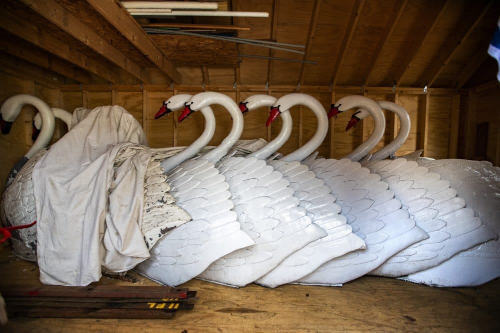 The swans, stored under a tarp during the off-season, aren't returning to the Public Garden lagoon in Boston on schedule this spring. (Jesse Costa/WBUR)