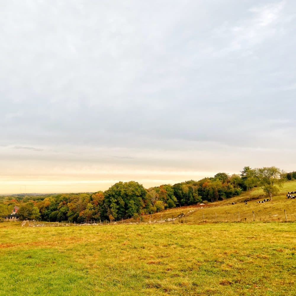 A view of Weir River Farm. (Courtesy The Trustees)