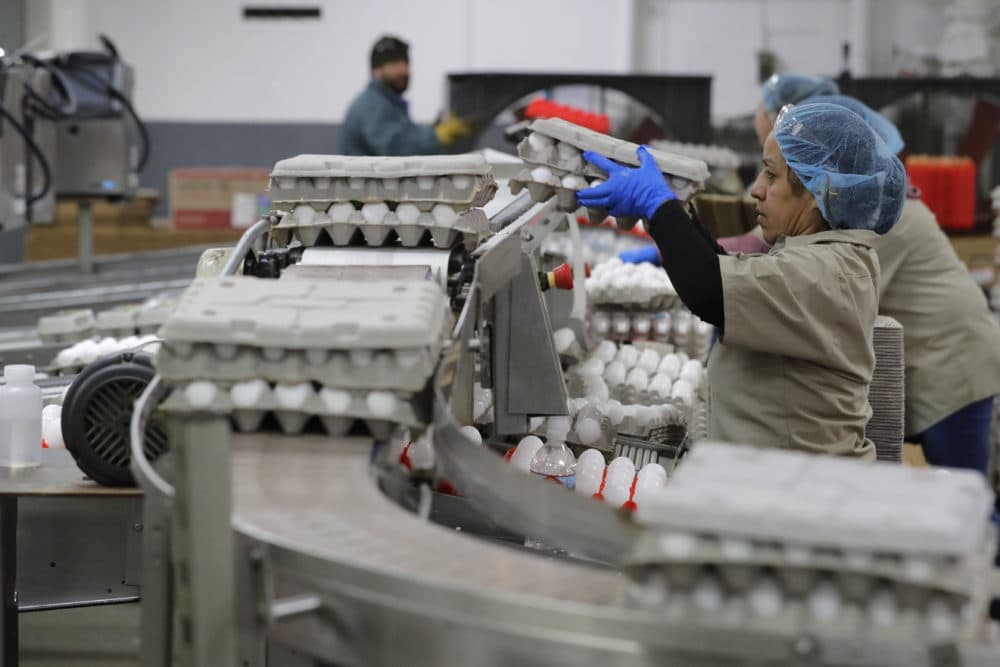 Workers load eggs for packaging at Wilcox Family Farms on Thursday, April 9, 2020, in Roy, Wash. (Ted S. Warren/AP)