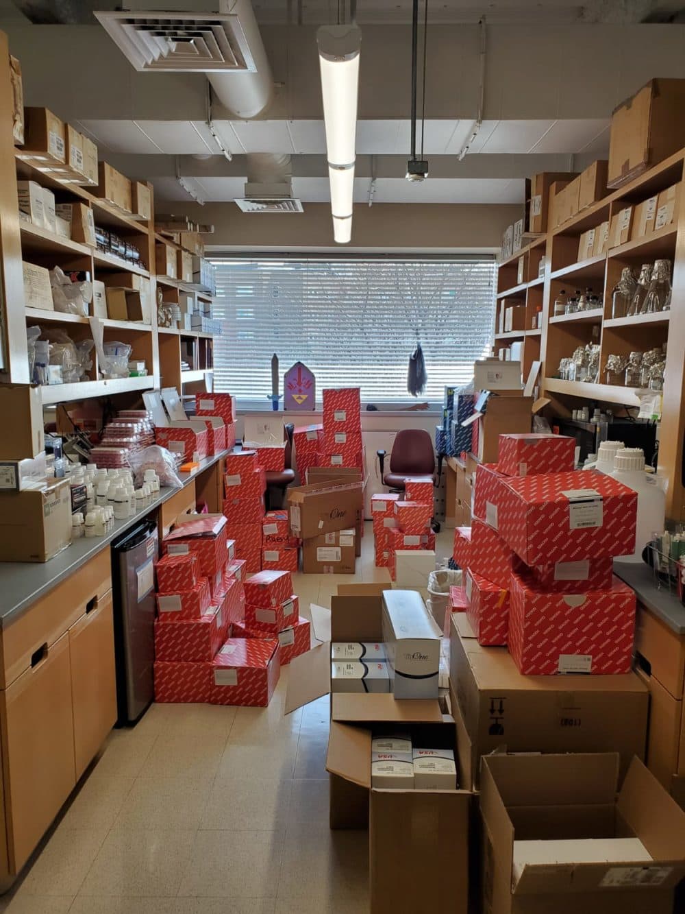 Supplies donated to BU's coronavirus testing center. (Todd Dowrey)