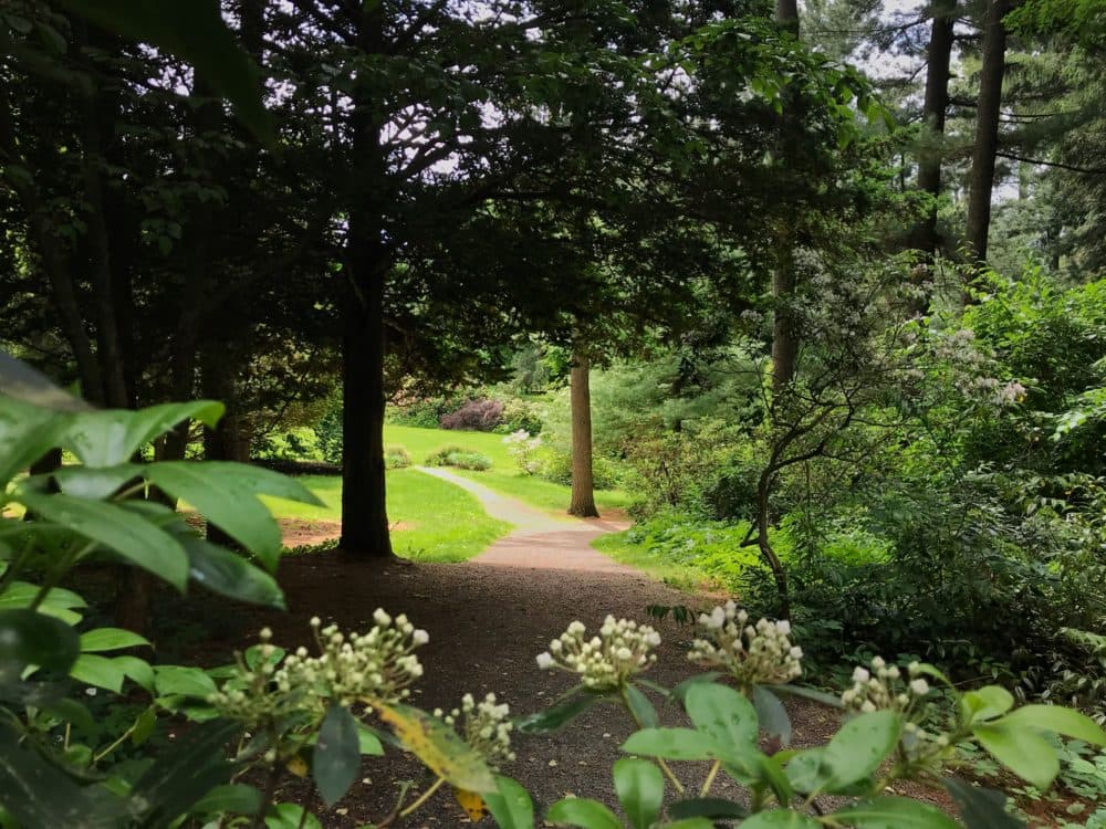 Doyle Community Park, Leominster. (Courtesy The Trustees)