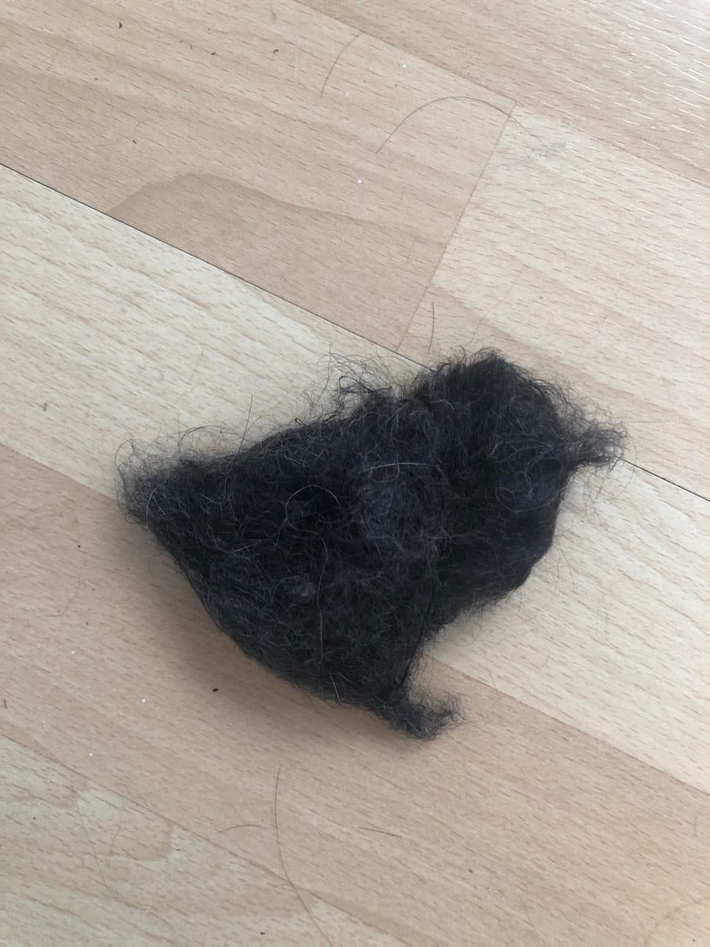 A chicken made of dog hair by Marley Gainley. (Courtesy Chuck Stigliano)