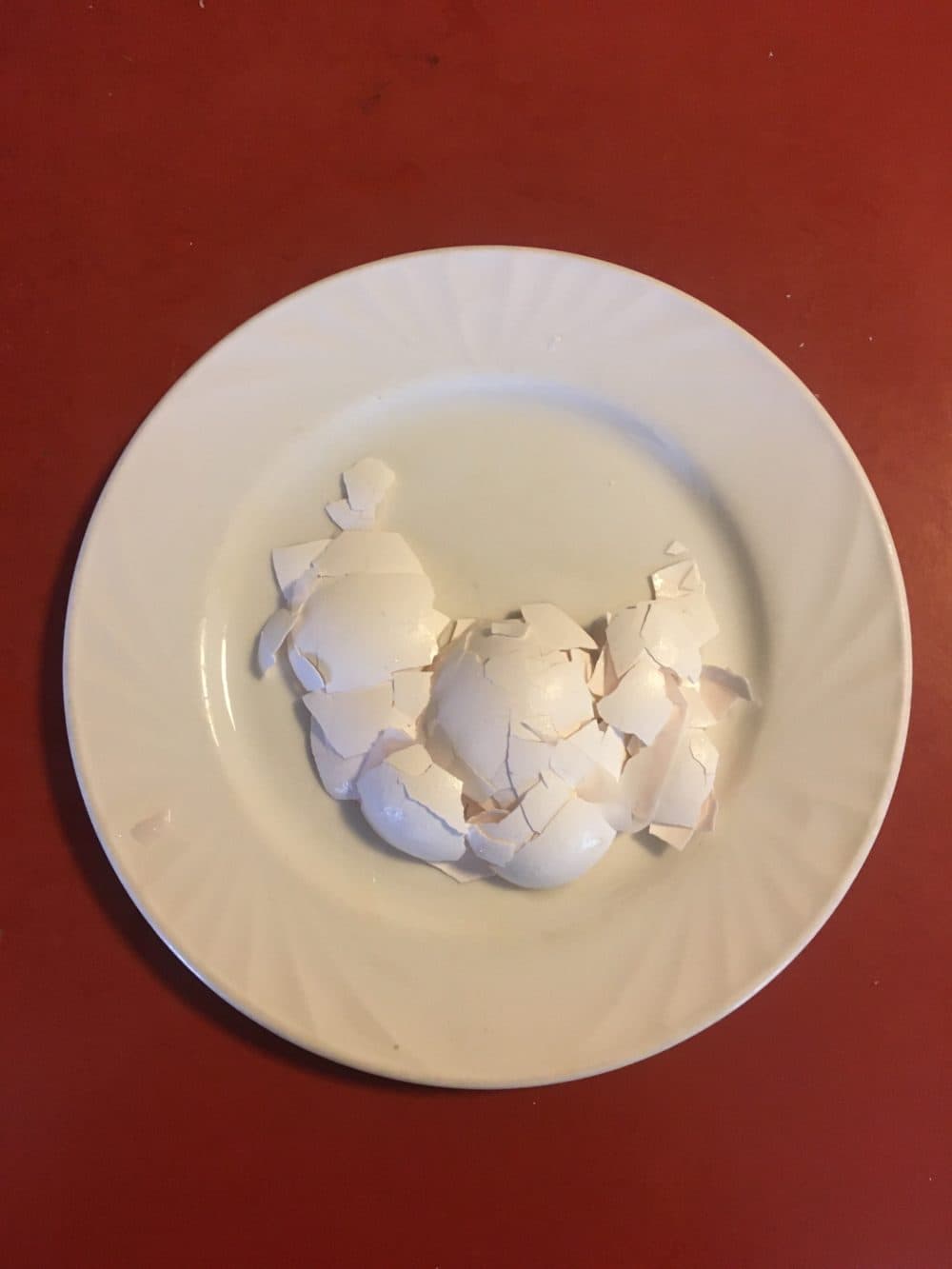 "Which came first, the chicken or the egg" by Sara Micciche. (Courtesy Chuck Stigliano)