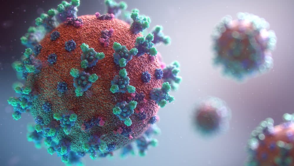 Fusion Medical Animation / Unsplash